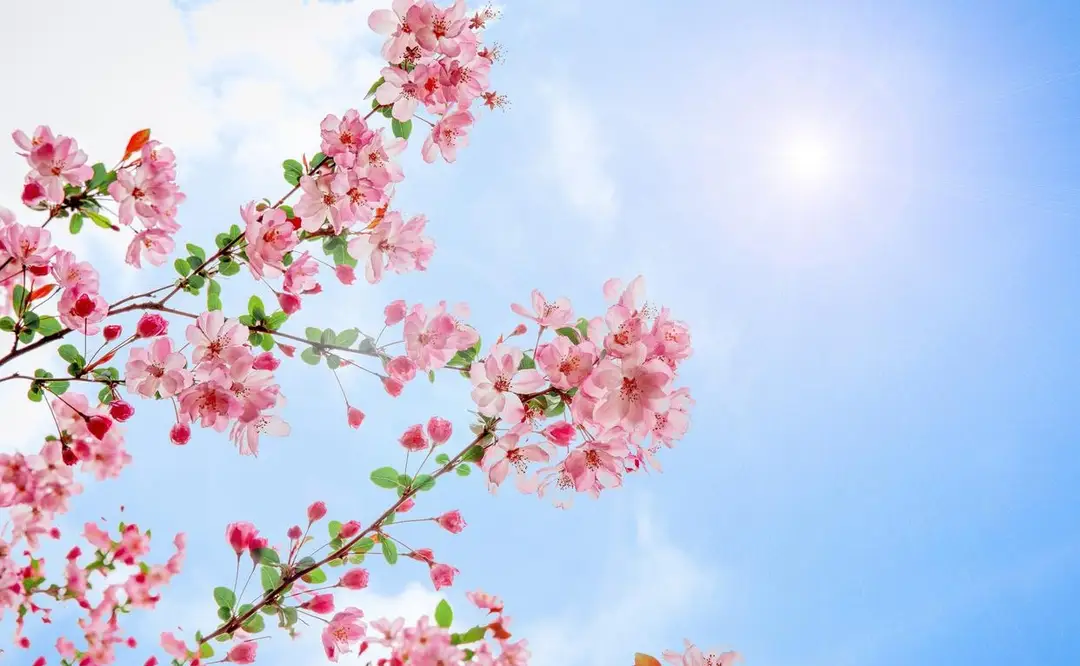 钱是有灵性的，你越是这样，财运就会越好