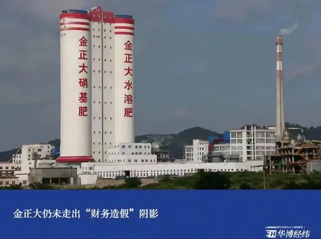 “化肥巨头”3年半造假231亿，8人被罚755万，老板还曾登上百富榜