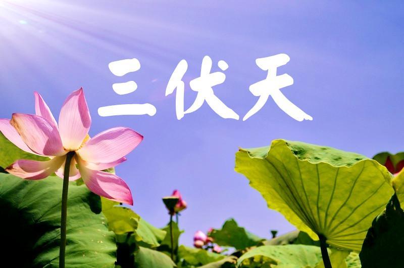 艾仲医