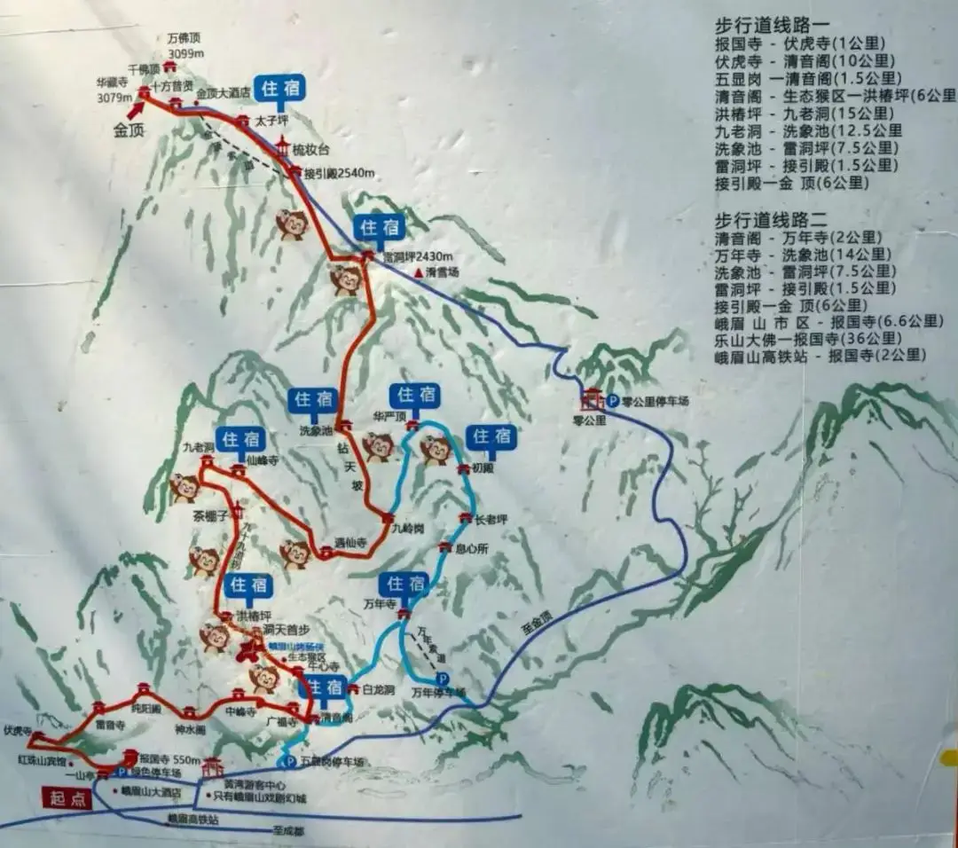 263斤男子花2.21万元坐滑竿上峨眉山！9人轮流抬超10小时，轿夫：从业32年来最大一单